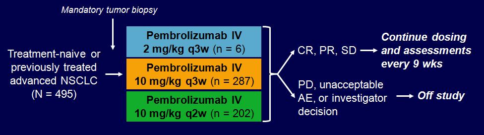 KEYNOTE-001: Pembrolizumab Faz I