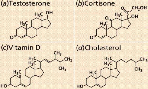Kolesterol Esterleri İzopren türevi bileşikler olan