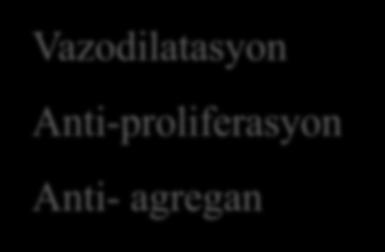 Endotelin Tromboksan Seratonin NO Prostasiklin Vazokonstrüksiyon