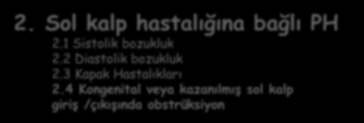 3 İlaç ve toksinlere bağlı PAH 1.4 İlişkili hastalıklar: 1.4.1 Bağ dokusu hastalıkları 1.4.2 HIV infeksiyonu 1.4.3 Portal hipertansiyon 1.