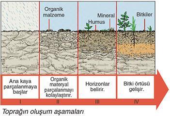 Toprak içerisinde kum miktarı fazla ise toprak kolayca havalanabilir. Kumlu topraklar suyu kolayca dibe sızdırdığından bu tur topraklarda tarım yapılacaksa sulamaya ihtiyaç duyulur.
