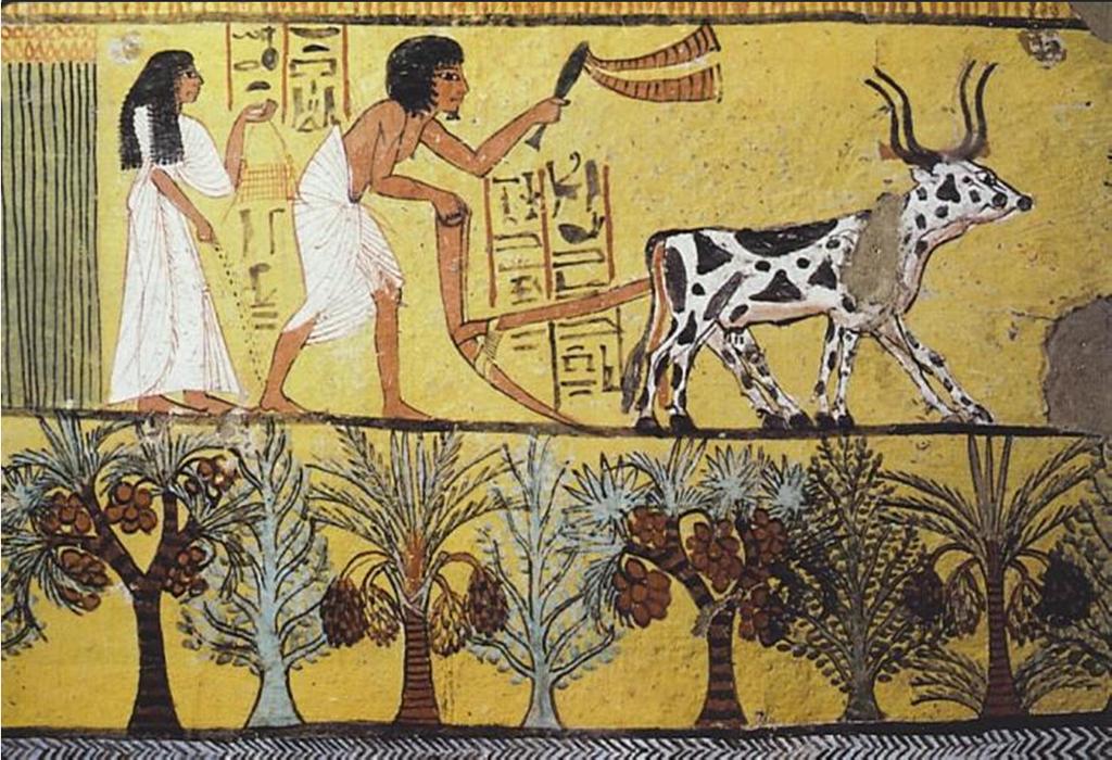 Antik Dönem öncesi bahçeler Mısır bahçelerinin en önemli özellikleri: Sulama