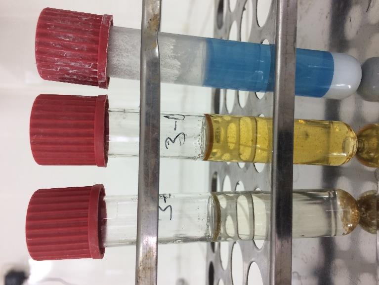 Şekil 17: Asit hidrolizin işlem sırası : ilk aşaması (sol), brom kresol ilave edildikten sonra (orta) ve baryum karbonat ile nötralleştirme işlemi sonucu (sağ) (Foto; M.TAŞ, 20