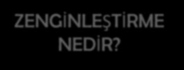 ZENGİNLEŞTİRME NEDİR?