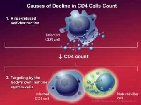 CD4 SAYI ve ORANI HIV enfeksiyonunda en önemli laboratuvar göstergesi Hastalığın gidişi