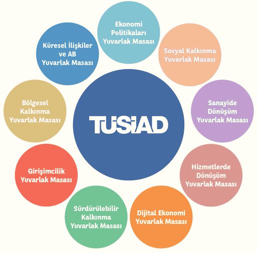 Çalışma Alanları TÜSİAD, insan hakları evrensel ilkelerinin, düşünce, inanç ve girişim özgürlüklerinin, laik hukuk devletinin, katılımcı demokrasi anlayışının, liberal