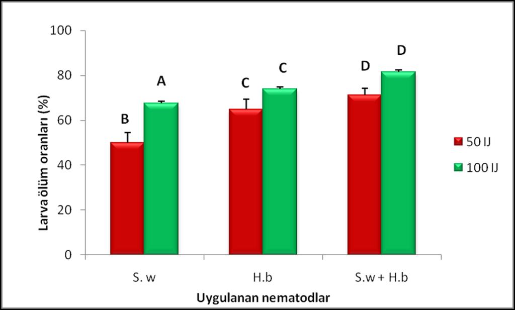 30 Şekil 4.7. Curculio elephas larvalarına karşı kullanılan Steinernema weiseri, Heterorhabditis bacteriophora, S. weiseri + H.