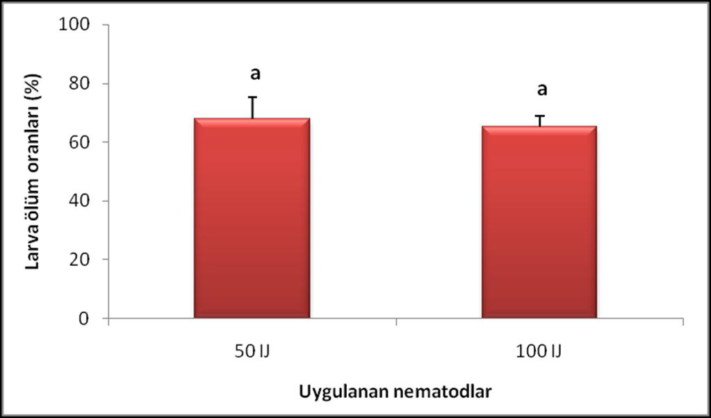 38 Şekil 4.16. Steinernema weiseri + Steinernema glaseri + Heterorhabditis bacteriophora üçlü kombinasyon uygulamasının iki farklı deneme sonucunun kıyaslanması (%).