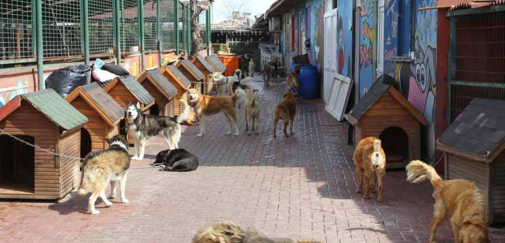 Çevreye Yaklaşım Doğal kaynakların korunmasına, olumsuz çevresel etkilerin asgariye indirilmesine, enerji tüketiminin azaltılmasına, çarpık ve yanlış kentleşmenin yarattığı sorunların ortadan