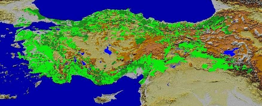 Toplam Orman Alanı: 21 188 746 Hektar % 100 3/56 TÜRKİYE DE ORMANLARIN