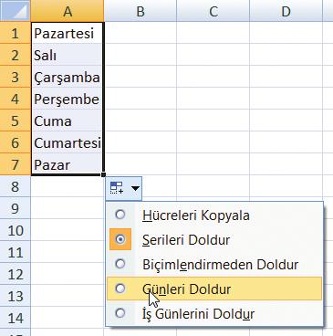 Resim 4.29: Otomatik doldurma seçenekleri Otomatik doldurma seçenekleri düğmesi ile doldurma seçenekleri değiştirilebilir.