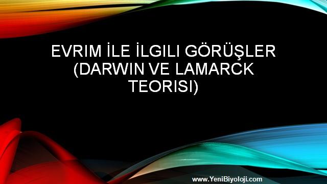 Evr m İle İlg l Görüşler (Darw n ve Lamarck Teor s ) İlk canlının oluşumunu açıklamaya çalışan b l m nsanları, yapmış oldukları gözlemler ve çalışmalar sonucunda farklı evr m görüşler ortaya