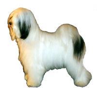 Tibet Tibetan Terrier Bir Terrier'den çok çoban köpeğine benzeyen, kare şeklinde vücut yapısına sahip orta boy bir köpek ırkıdır. Kıvrak ve dayanıklıdır. Sırt seviyesi düzdür.