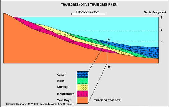 c) TRANSGRESSİF SERİ Transgresyon, denizlerin yavaş yavaş karalar üzerine ilerlemesi olayını ifade eder.