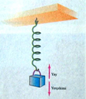 Ağırlık ve Çekim Kuvveti Bir cisme dünyanın uyguladığı kuvvet, çekim kuvveti olarak adlandırılır ve F g ile gösterilir.