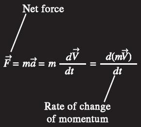Doğrusal momentum veya sadece cismin momentumu: Cismin kütlesi ile hızının çarpımına eşittir.