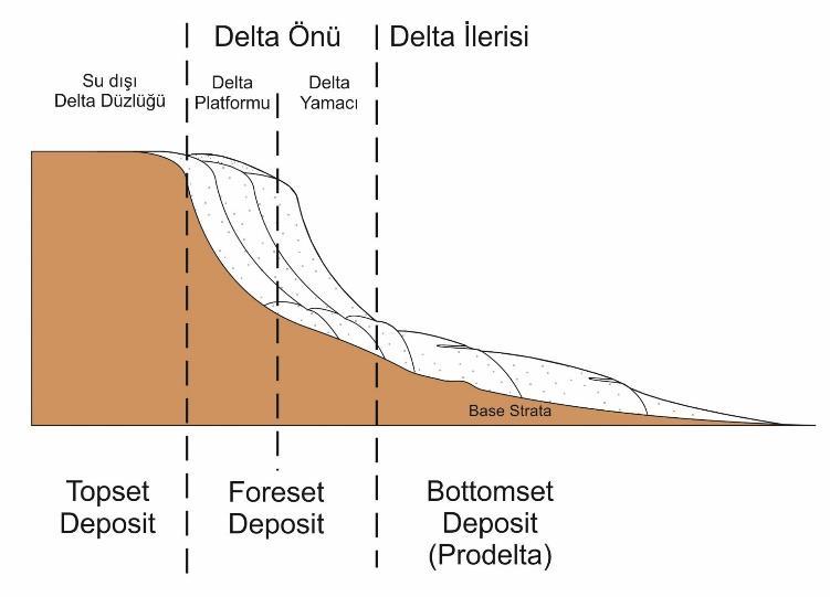Delta kesiti: Delta Oluşumunu Etkileyen Faktörler: - İklim - Litoloji - Getirilen Malzeme Miktarı - Kıyı Morfolojisi - Kıyı Enerjisi - Tektonik Kaynak alanında etkin Ajanda etkin Birikim alanında