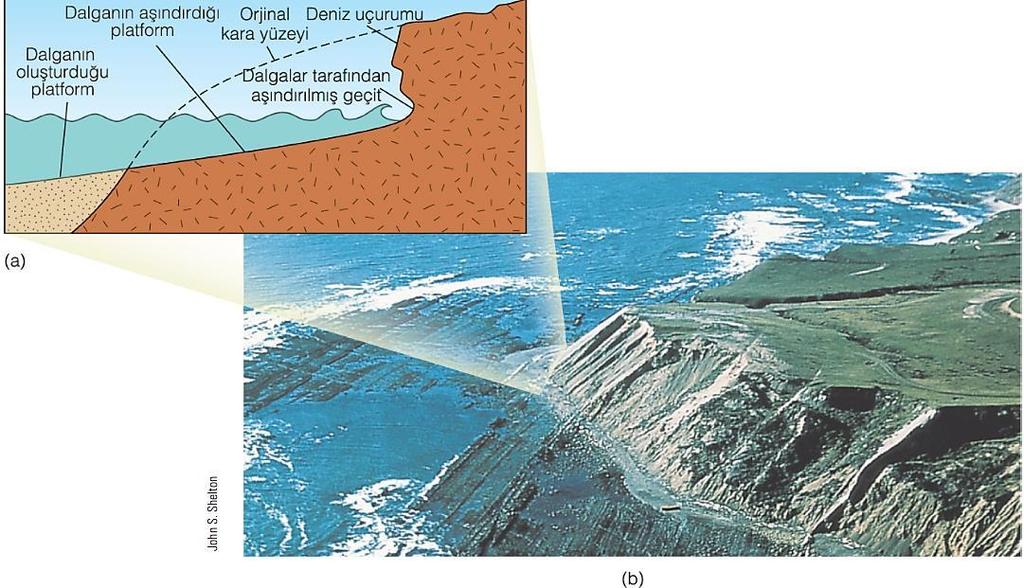 7.4 KIYILARIN AŞINMASI: Dalga etkisi altında kalan alanlarda deniz yarları (falezler) gelişir.