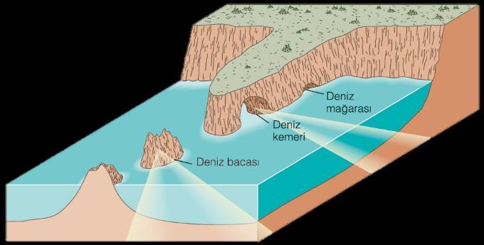 Yarın (falezin) yüzü korozyonun, hidrolik etkinin ve abrazyonun sonucunda karaya doğru geri çekilir (Şekil 7.9).