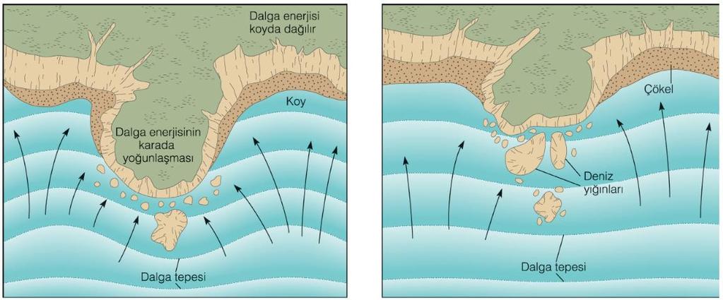 Şekil 7.11 (a) Dalga kırılması (Wave refraction), dalga enerjisini burunlarda toplayarak kıyıları düzleştirme eğilimindedir.