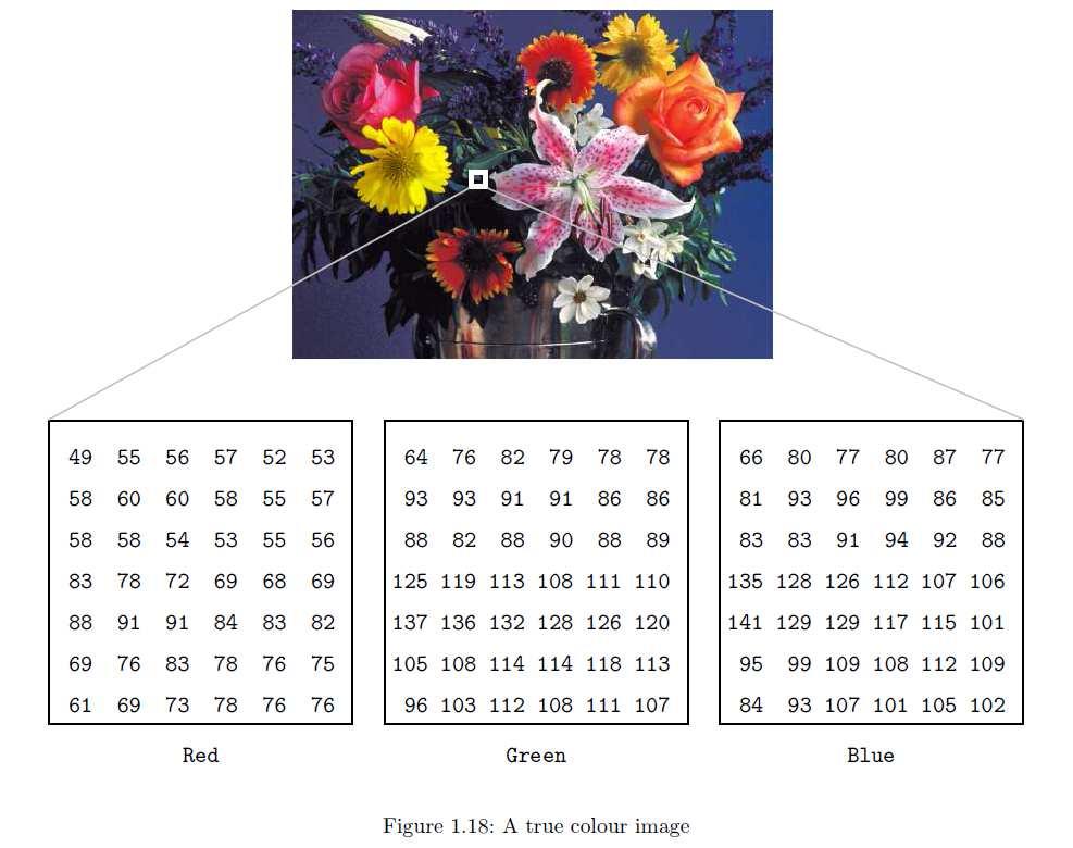 Görüntü Türleri Renkli Her piksel 3 byte yer kaplar.