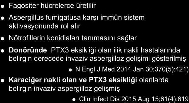 Pentraxin 3 (PTX 3) eksikliği / mutasyonu Fagositer hücrelerce üretilir Aspergillus fumigatusa karşı immün sistem aktivasyonunda rol alır Nötrofillerin konidiaları tanımasını sağlar Donöründe PTX3