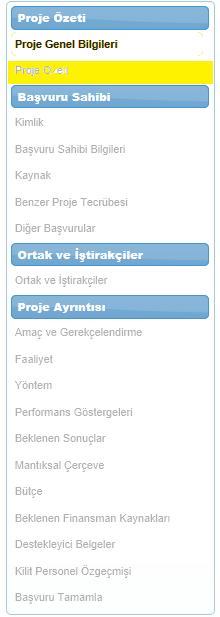 Proje Özeti Solda açılan Proje Özeti adımı, projenin genel