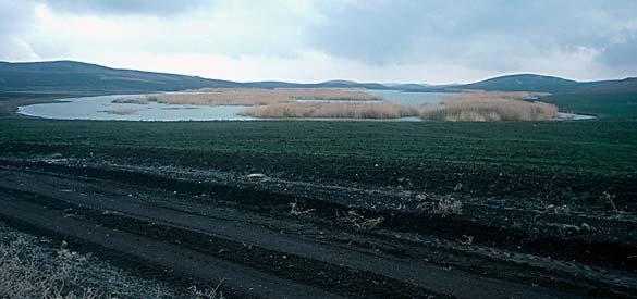 Sýð ve tuzlu bir göl olan Çöl Gölü, Çalýkdüzü Havzasý nýn güney ucunda bulunan bir acý su gölüdür ve yaz aylarýnda büyük ölçüde kurur.