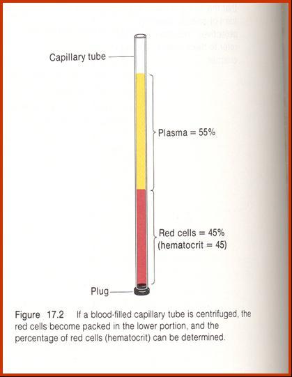 HEMATOKRİT Kanın hücresel bölümünün total kan hacmine oranıdır.