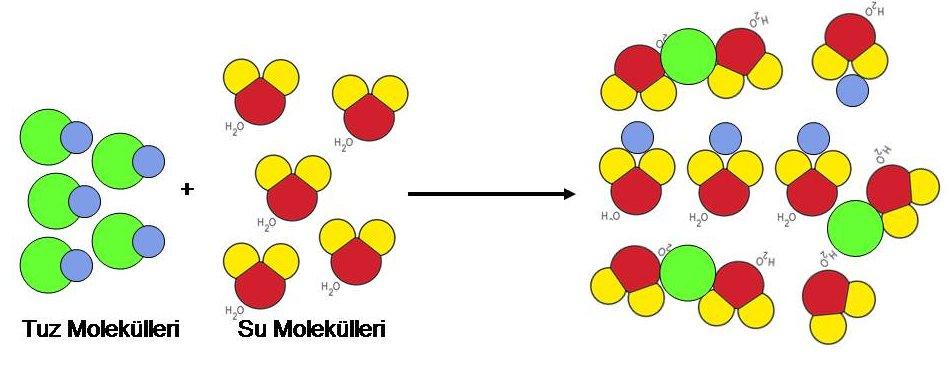 Sulu Çözeltilerin Doğası: Çözücünün su olduğu durumlarda, iyon veya moleküllerin çözücüde gelişigüzel dağılmaları sonucu sulu çözelti oluşur.