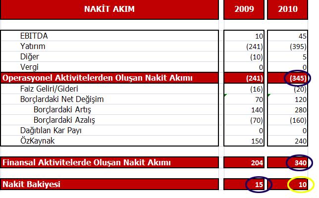 NAKİT AKIM TABLOSU 2010