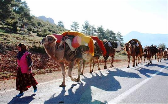 Figure 5. Trditionl Yoruk Turks migrting from plin to highlnd.