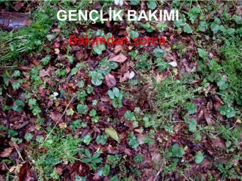 GENÇLİK