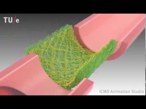 2.DOKU İSKELESİ 3 Boyutlu Doku iskeleleri ( tissue scaffold ) : Hücrelere yapısal destek sağlayarak hücrelerin yapışmasını ve üremesini