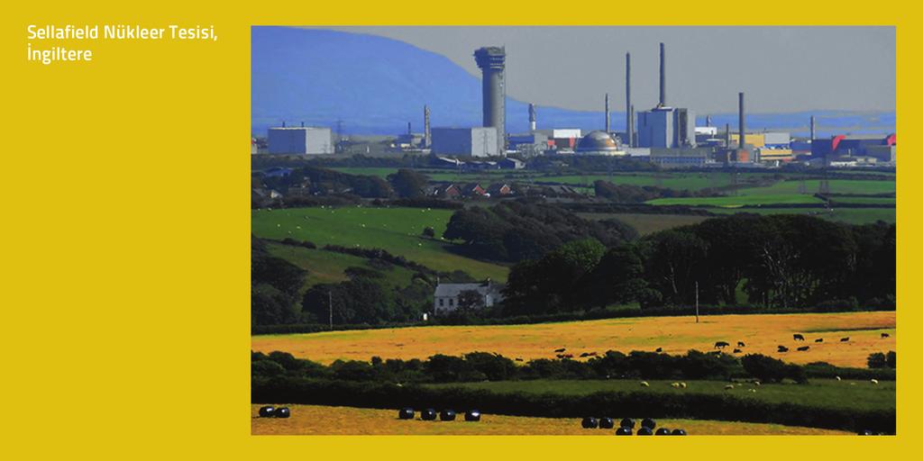 Nükleer Tesislerin Hemen Yakınında Tarımsal Faaliyetler Devam Etmektedir İngiltere deki Sellafield nükleer