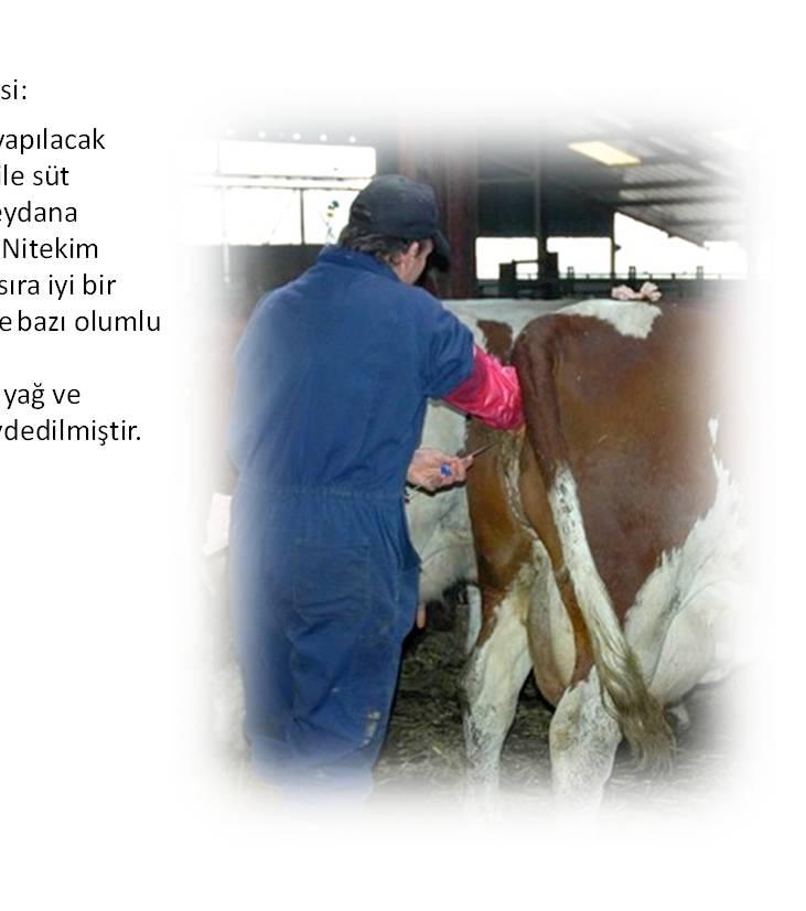 Kalıtım ve Yetiştirmenin Etkisi: Özellikle baba hayvanlarda yapılacak uygun ve sürekli seleksiyon ile süt bileşiminde değişimlerin meydana getirilebilmesi mümkündür.
