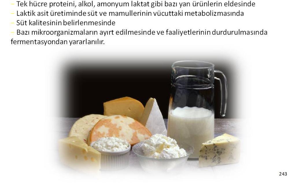 Laktozun fermantasyonu, süt teknolojisi açısından son derece önemli olup; Tereyağı, peynir ve fermente süt mamullerinin üretiminde Tek hücre