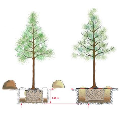 AĞAÇ VE ÇALı ÇUKURLARı / TREE AND SHRUB PITS Her ağaç fidanının dikileceği nokta ve çalı gruplarının dikileceği alanda bitkisel uygulama projesi uyarınca kazıkla önce kenarlardaki, sonra alanın