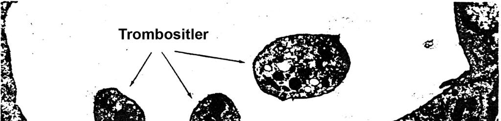Trombositler pürüzlü yüzeylere temas ettiklerinde psödopod oluşturmaları, üst üste birikmeleri ve içeriklerini salıvermeleri nedeniyle yapı ve görünümlerini değiştirirler.