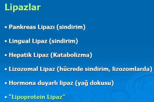 Lipazlar