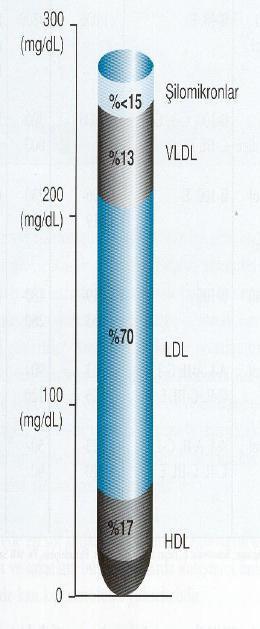 ELEKTROFOREZ Plazma lipoproteinlerini birbirinden ayırmak için kullanılır KATOD (-) Orjin ŞL ŞL LDL, -lipoprotein