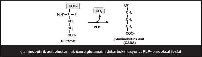 111 Tirozinden adrenalin sentezi sırasında görülen tepkimeler: aromatik hidroksilasyon, dekarboksilasyon, β- karbonu