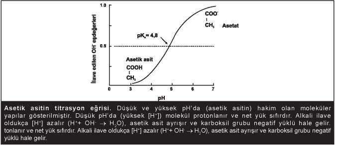 5 ASĐTLER, BAZLAR VE TAMPONLAR pk nedir? Bir asitin ayrışma sabiti olan K nın negatif logaritmasıdır. pk değeri ne kadar düşükse asit o kadar kuvvetlidir.