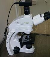 Floresan Mikroskop Nasıl Kullanılır?