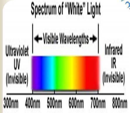 Işık Mikroskobu ile Floresan Mikroskobu Arasındaki Farklar Işık Mikroskobu Bir örneğin büyütülmüş bir görüntüsünü aydınlatmak ve üretmek için görünür ışığı kullanır(400-700 nanometre) Floresan