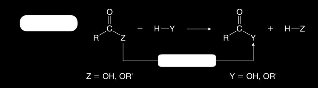 Karboksilik Asit ve Esterleri İçeren Reaksiyonlar Karboksilik asitler ve esterler ortak bir reaksiyon türüne sahiptir: Substitüsyon Bir karboksilik asit