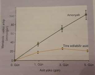 İdrar ph<4-4.5 olamaz. ph=4 iken ekskrete edilen H + miktarı 0.1 meq/l dir.