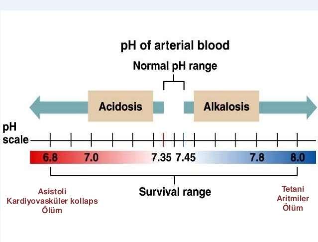 Yaşamla bağdaşan ph düzeyi