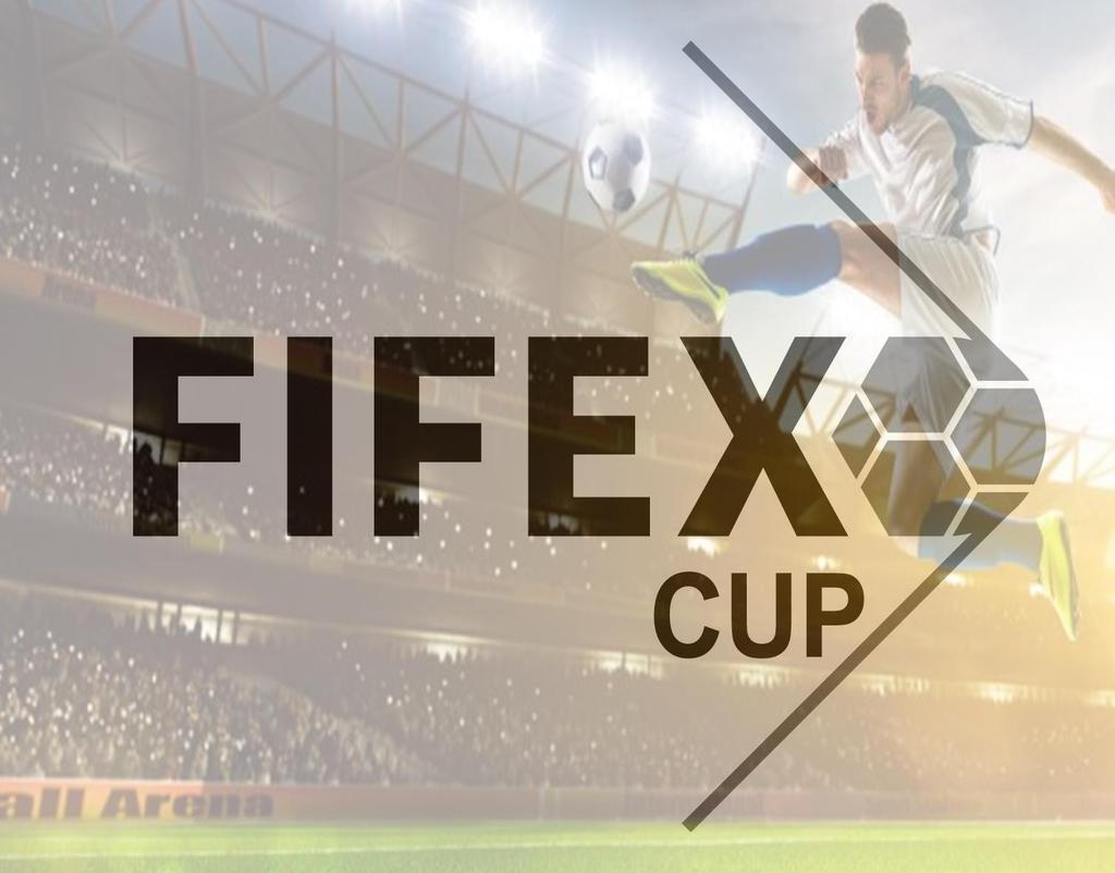 FIFEX CUP Türkiye de Kurumlar/Şirketler arasında yapılan profesyonel halı saha futbol organizasyonudur.