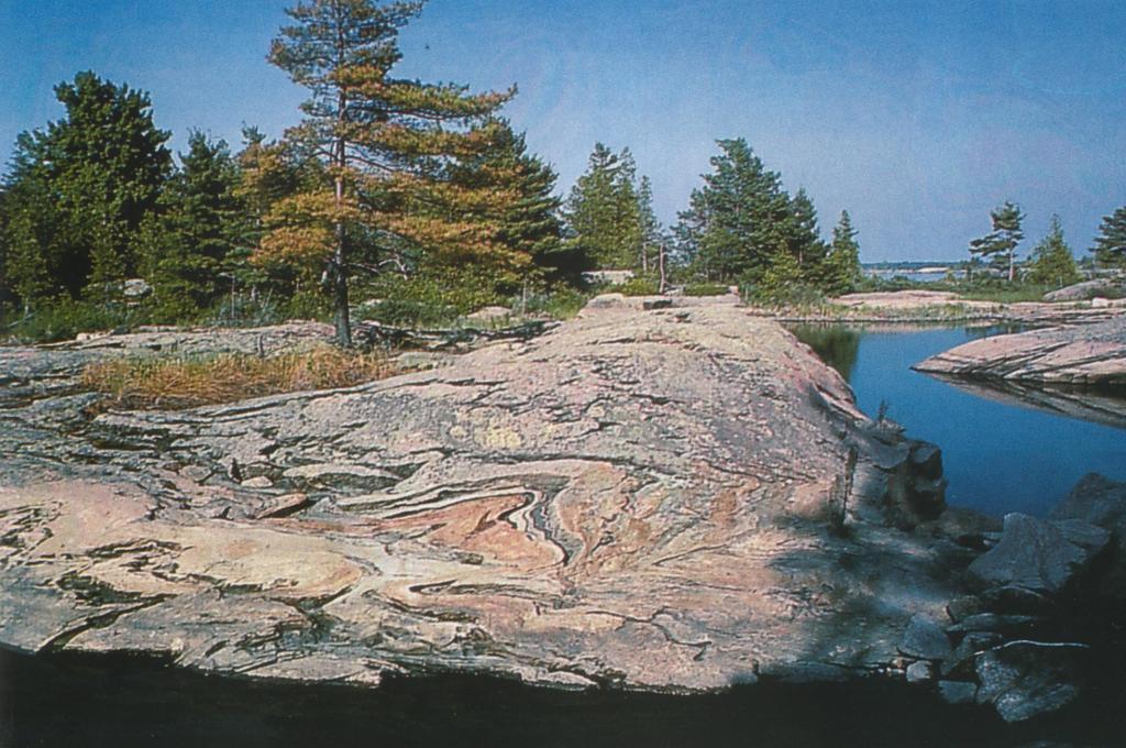 Migmatitler, granit düzeyleri ve mercekleri ile iç içe geçmiş olan yüksek dereceli metamorfik kayaçları
